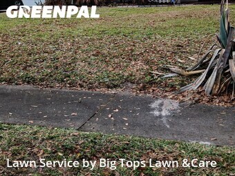 Yard Cutting nearby Altamonte Springs, FL, 