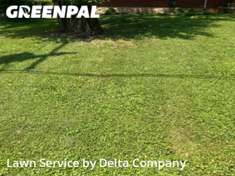 Lawn Mow nearby Bowling Green, KY, 