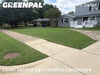 Affordable Landscaping In Dallas,75220,Landscapers by Labradas Landscape, work completed in Jun , 2026