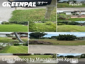Yard Cutting nearby Cape Coral, FL, 