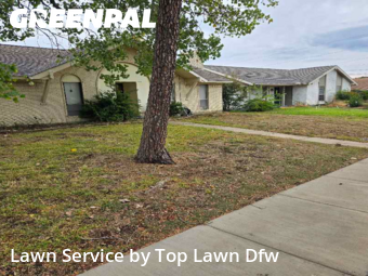 Lawn Servicein Lewisville,75077,Lawn Mow by Top Lawn Dfw, work completed in Dec , 2025