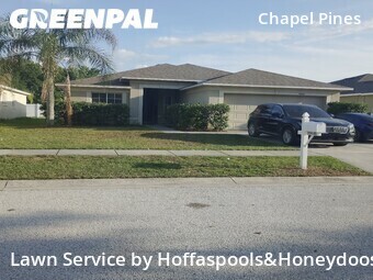 Yard Cuttingin Wesley Chapel,33545,Lawn Mowing Service by Hoffaspools&Honeydoos, work completed in Jun , 2026