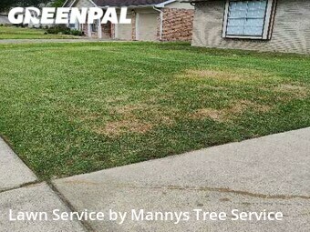 Lawn Mow nearby League City, TX, 