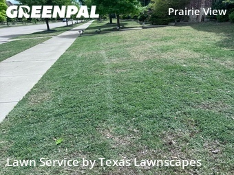Lawn Mowing nearby Frisco, TX, 