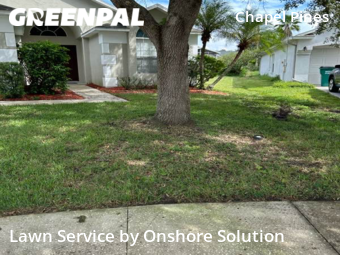 Lawn Mowing Service nearby Wesley Chapel, FL, 