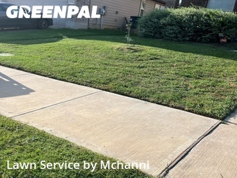 Affordable Landscaping Maintenance Services In Fort Worth,76123,Landscaping Maintenance by Mchanni, work completed in Jun , 2026