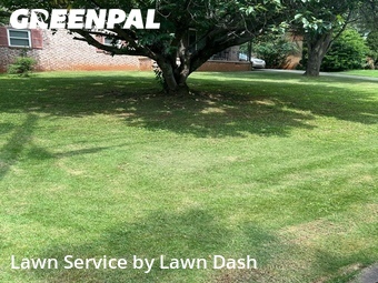 Lawn Cut nearby Decatur, GA, 