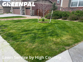 Lawn Care nearby Thornton, CO, 