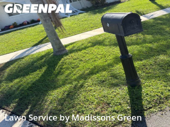Grass Care in Royal Palm Beach, 33411, Grass Services by Madissons Green, work completed in Nov , 2025