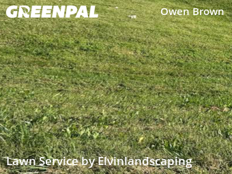 Yard Care in Columbia, 21045, Lawn Mowing by Elvinlandscaping, work completed in Nov , 2025