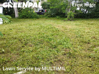 Lawn Care nearby Holiday, FL, 