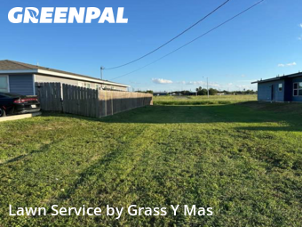 Yard Cutting nearby Harlingen, TX, 