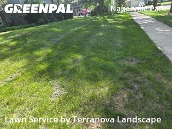 Yard Cutting nearby Naperville, IL, 