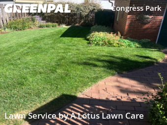 Yard Cutting nearby Denver, CO, 