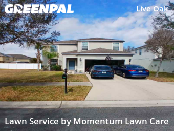 Lawn Maintenance nearby Tampa, FL, 