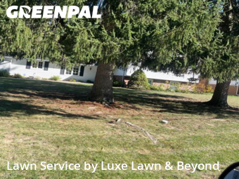 Grass Cut nearby Mayfield, OH, 