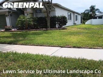 Grass Cut nearby Apollo Beach, FL, 