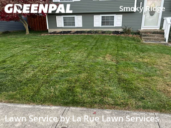 Lawn Maintenance nearby Powell, OH, 