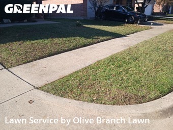 Front Yard Mowing in Saginaw, 76131, Yard Care by Olive Branch Lawn, work completed in Dec , 2025