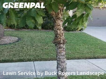 Lawn Care nearby Fort Worth, TX, 