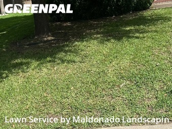 Lawn Maintenance nearby Katy, TX, 