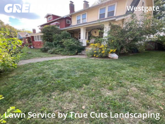 Lawn Care nearby Columbus, OH, 