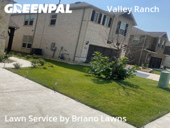 Lawn Maintenance nearby Irving, TX, 