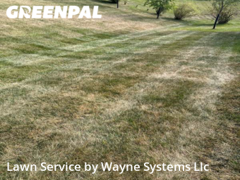 Grass Cutting nearby Columbia, MO, 