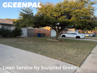 Backyard Mowing in Allen, 75002, Yard Work by Sculpted Greens , work completed in Dec , 2025
