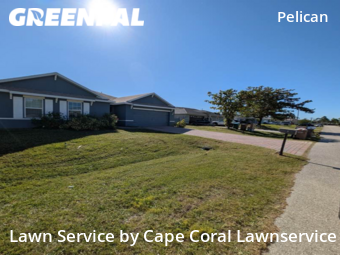 Lawn Maintenance nearby Cape Coral, FL, 