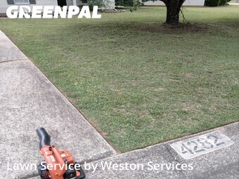 Lawn Cutting nearby Bessemer, AL, 