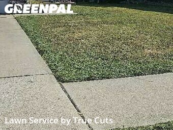 Grass Cut nearby Moore, OK, 