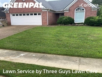 Lawn mowed in Cordova, 38016