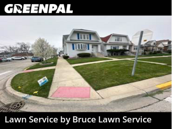 Lawn Care nearby Norridge, IL, 