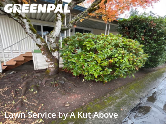 Yard Cutting nearby Auburn, WA, 