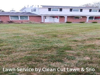 Lawn Mow nearby Lansing, MI, 