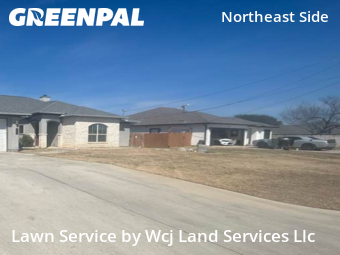 Lawn mowed in Selma, 78154