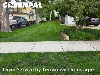 Yard Cutting nearby Wood Dale, IL, 