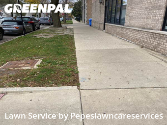 Grass Cutting nearby Chicago, IL, 