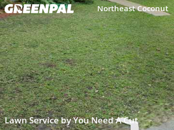 Affordable Landscaping Maintenance Services In Miami,33133,Landscaping Cleanup by You Need A Cut , work completed in Dec , 2025