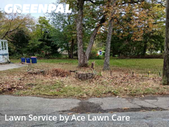 Work completed by cheap-lawn-cutting-businesses-in-Orange-CA