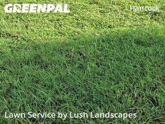 Lawn Cutting nearby Cape Coral, FL, 