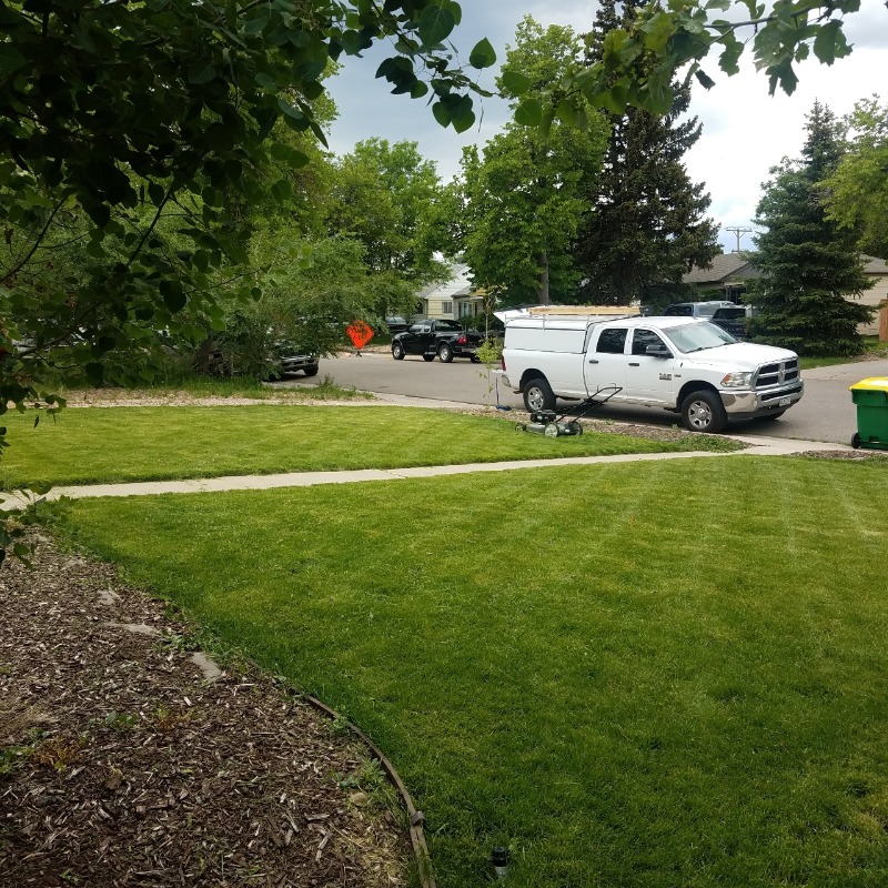 grass-cutting-businesses-in-Pueblo-CO