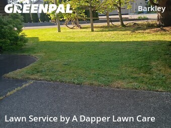 Lawn mowed in Bellingham, 98226