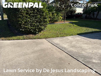 Lawn Maintenancein Orlando,32804,Lawn Care by De Jesus Landscaping , work completed in Jan , 2026
