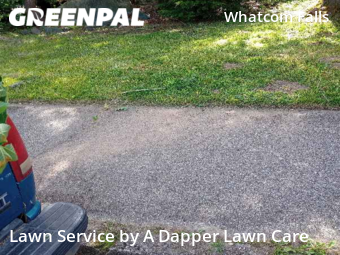 Lawn Service nearby Bellingham, WA, 