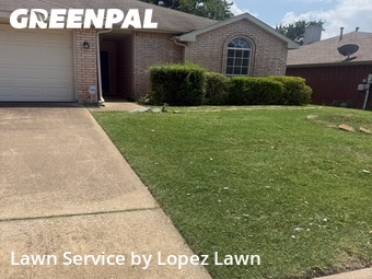 Grass Cut nearby Cedar Hill, TX, 