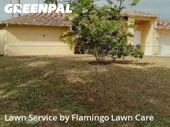 Lawn Mowing in Fort Myers, 33967, Yard Maintenance by Flamingo Lawn Care, work completed in Nov , 2025
