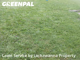 Grass Cutting nearby Scranton, PA, 