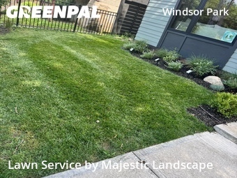 Grass Cut nearby Indianapolis, IN, 